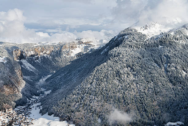 istock Winter mountain forest and village 528135037