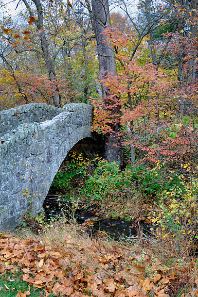 istock Stone Arch Bridge in Fall Woods, Autumn Scenery 528135085
