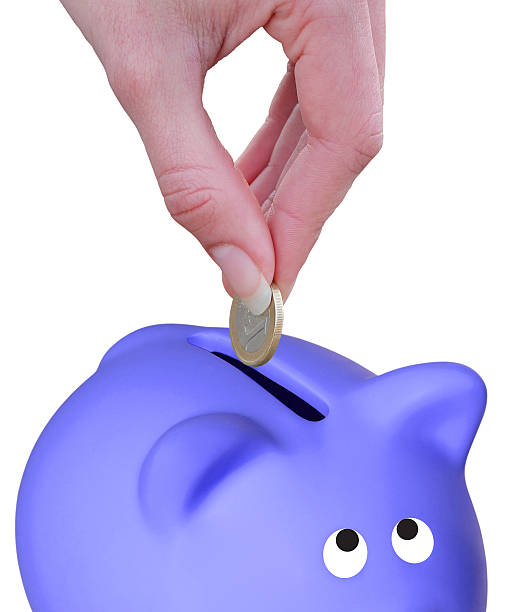 istock Euro and  piggy bank 528135149