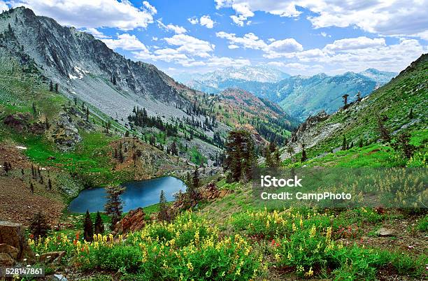 Deer Lake Stock Photo - Download Image Now - Siskiyou County, Beauty In Nature, Beginnings