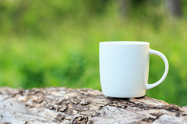 istock Coffee cup in the garden the morning time 528149191
