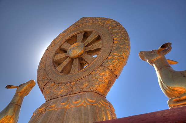 istock Golden calves at Lhasa Monasetry 528150069