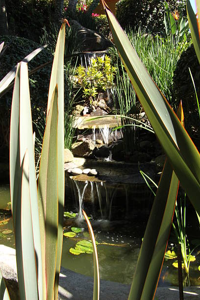 istock Waterfall fountain in our garden 528151591