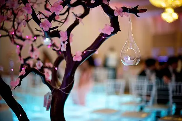Photo of Cherry Blossom Wedding