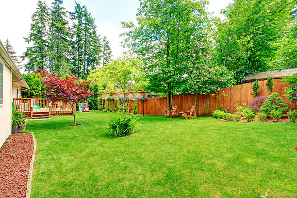istock Fenced backyard with green lawn and sitting area 528162587