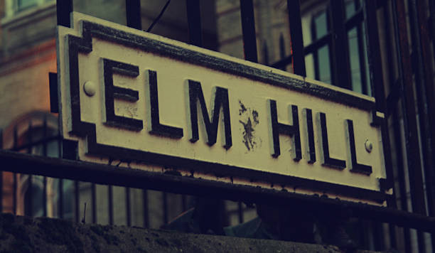 istock Street Sign of Elm Hill 528162903