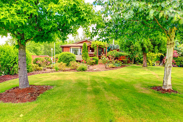 istock Log cabin style house exterior with front yard landscape 528164907