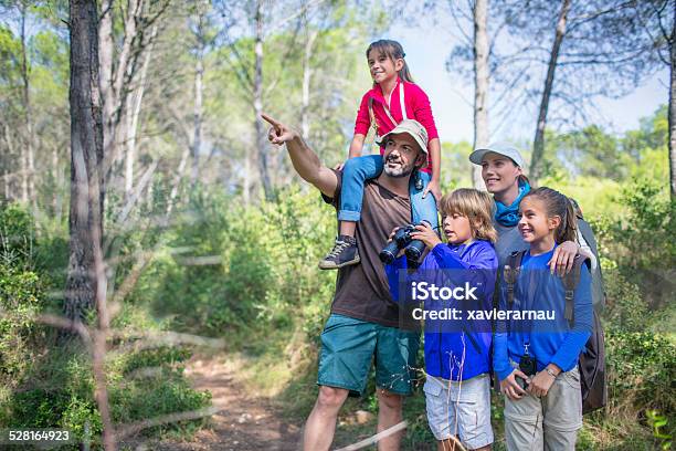 Having A Great Time In The Woods Stock Photo - Download Image Now - 35-39 Years, Family, Hiking