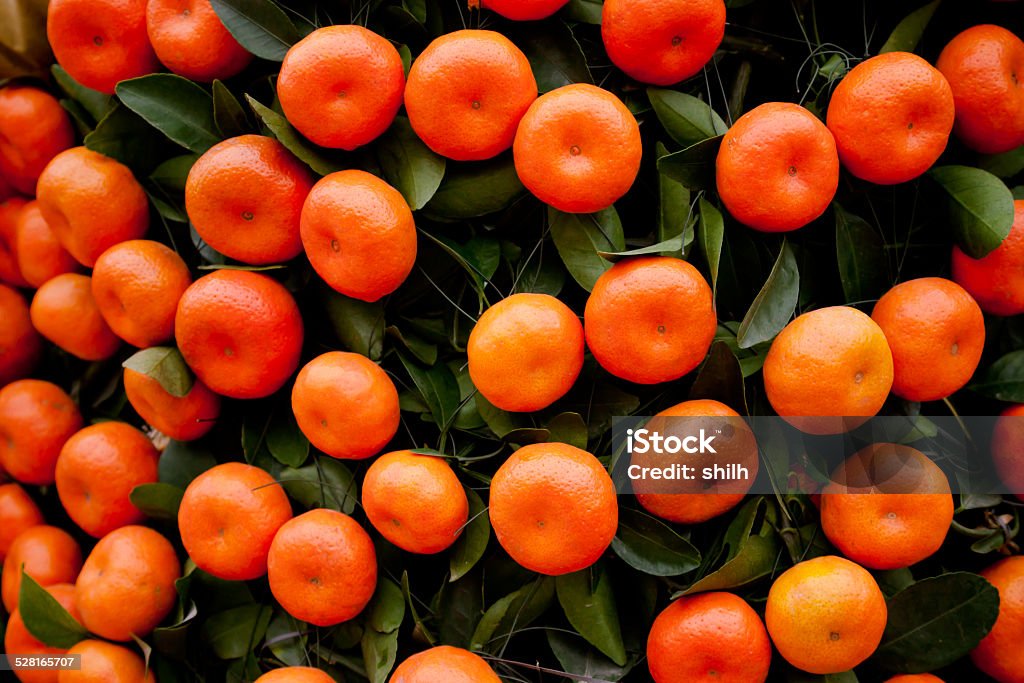 Oranges fruits at tangerine trees Agricultural Fair Stock Photo