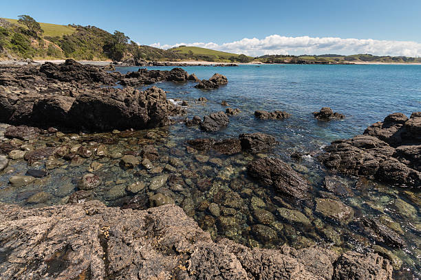 istock volcanic rocks on coast at Omaha Bay 528165959