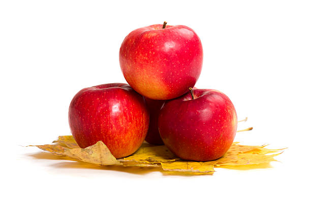 istock apples and autumn leaves on white 528179215