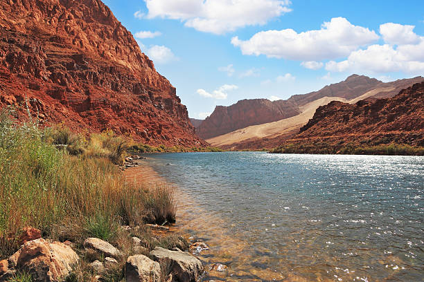 istock Clean water of the Colorado River 528180145