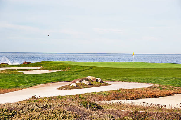 istock Golf Course by Ocean Pacific Grove with Bird in Flight 528182485