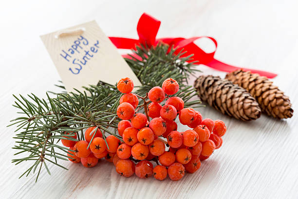istock Winter composition with rowanberry on the foregraund 528182597