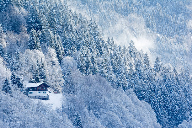 Winter in Montafon, Austria Winter in Montafon, Austria silbertal stock pictures, royalty-free photos & images