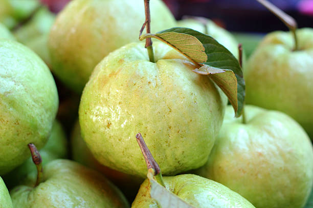 istock Guava fruit in the market 528184153