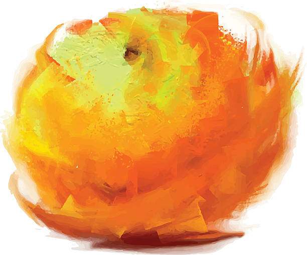 рисунок оранжевый - orange spray fruit leaf stock illustrations