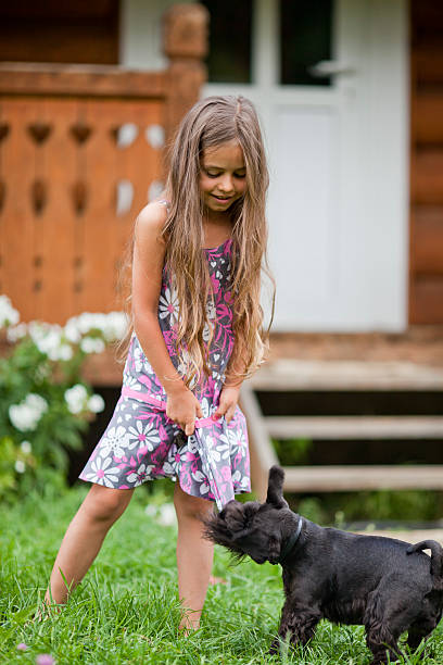 istock Little girl playing with her dog 528186037