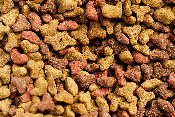 Pet food stock photo