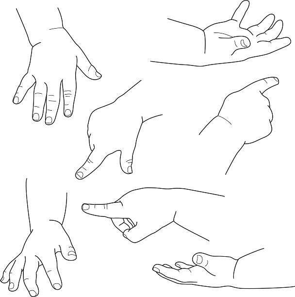 Baby hand, different gestures, vector illustration vector art illustration