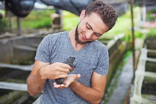 Photo of Farmer on a frog farm