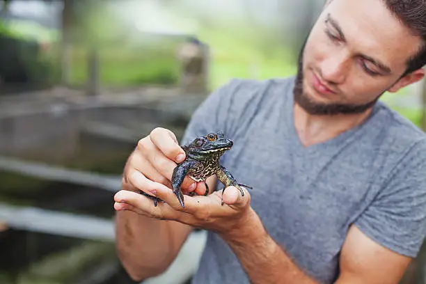 Photo of Farmer on a frog farm