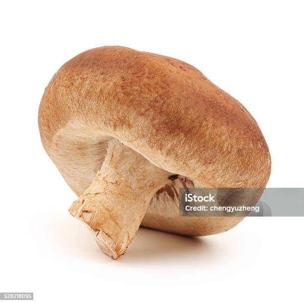 Shiitake Mushroom Stock Photo - Download Image Now - Brown, Chinese Food, Close-up