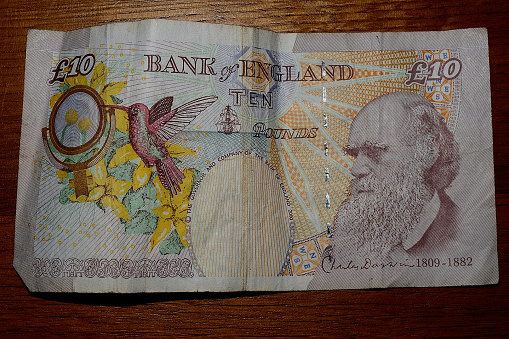 British currency / money
