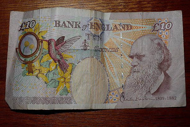 ten pound note stock photo
