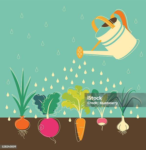 Vegetables Garden Watering Stock Illustration - Download Image Now - Vegetable Garden, Growth, Cultivated