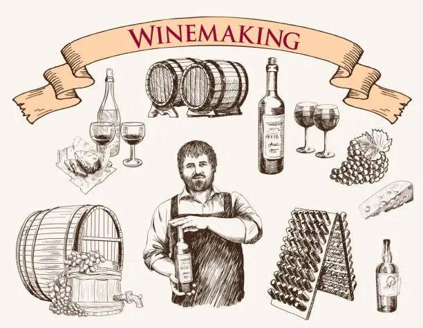 Vector illustration of winemaking. the production of sparkling wines