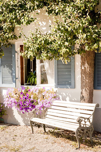 backyard at an old house