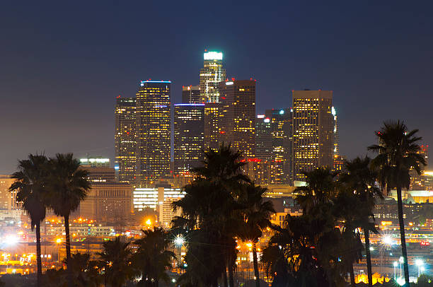 istock Los Angeles skyline with palm tree silhouettes at night 528242439