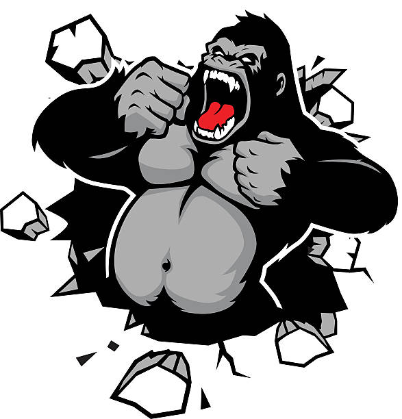 illustrazioni stock, clip art, cartoni animati e icone di tendenza di arrabbiato gorilla di rompere il muro - muscolo animale