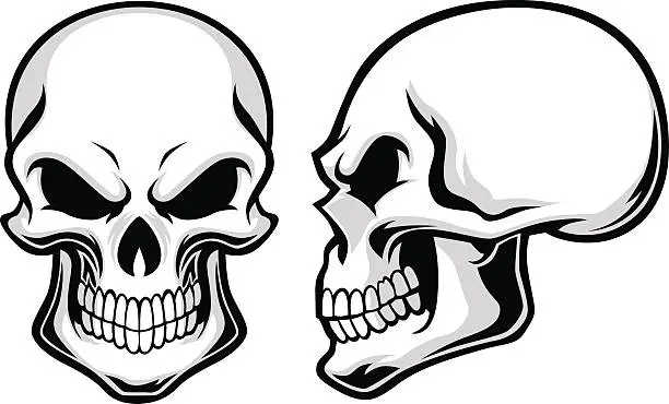 Vector illustration of cartoon skulls