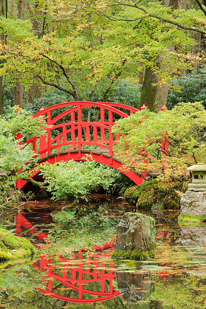 istock public Japanese Garden in The Hague 528243341