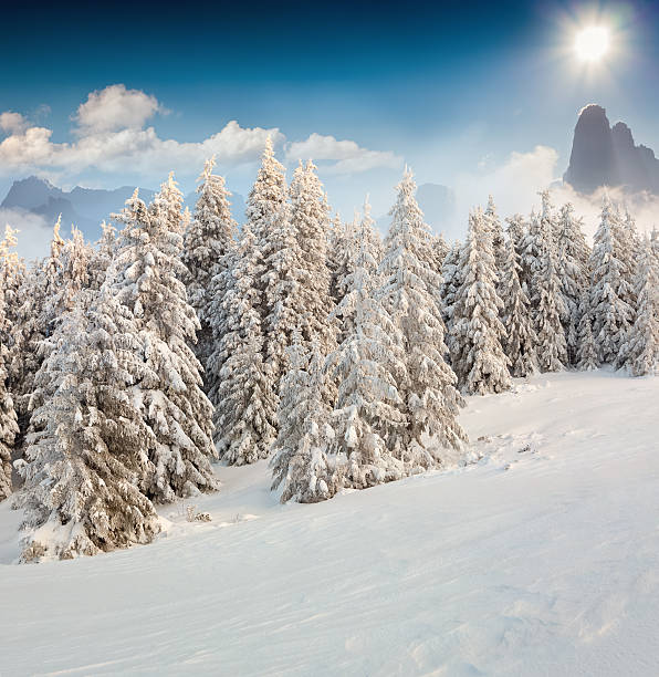 istock Beautiful winter landscape in the mountains 528244389