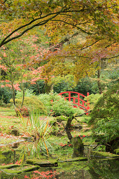 istock public Japanese Garden in The Hague 528245313
