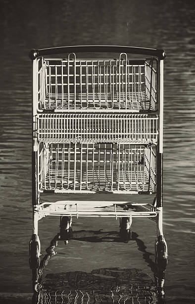 istock Flooded Shopping Cart 528246331