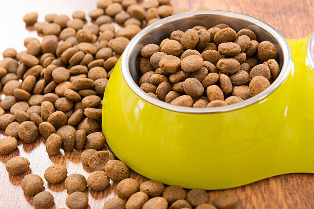 Dry pet's food Dry dog's cat's food in steel green bowl on wooden floor cat food stock pictures, royalty-free photos & images