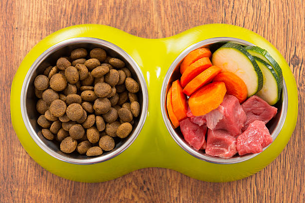 natural de alimentos para perros y seco - dog vegetable carrot eating fotografías e imágenes de stock
