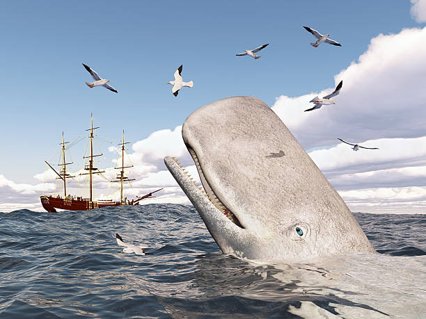 Mocha Dick Computer generated 3D illustration with Mocha Dick, seagulls and sailing ship whaling stock pictures, royalty-free photos & images