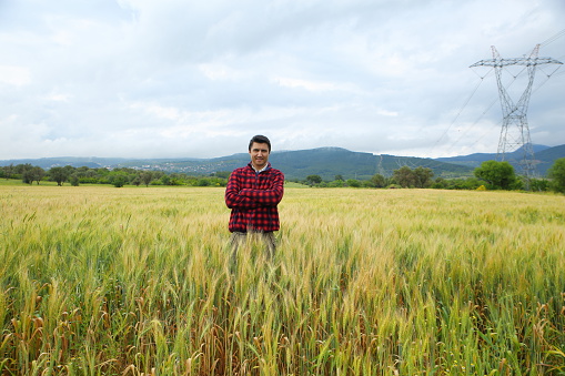 Farmer in wheat field.