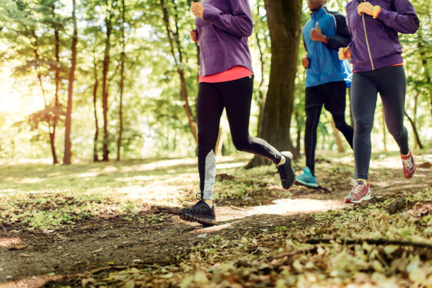 istock Friends Jogging In The Nature 528282806