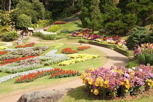 istock Many flower in flower garden 528283012