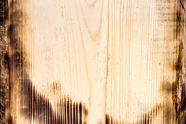 rau hellem holz textur - wood birch wood grain textured stock-fotos und bilder