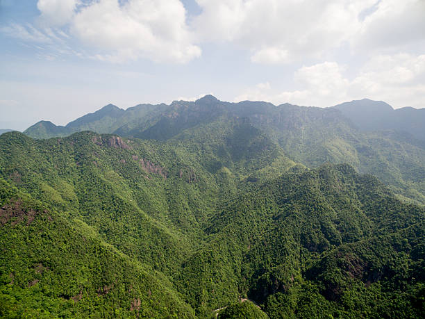 istock Aerial alpine forests 528284302