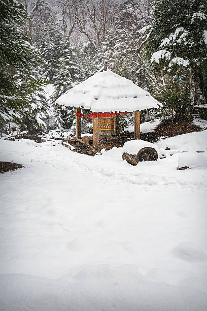 istock Countryside is in snowy day 528286714