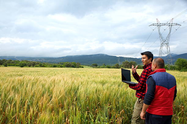 zwei landwirt mit laptop im weizenfeld - farmer rural scene laptop computer stock-fotos und bilder