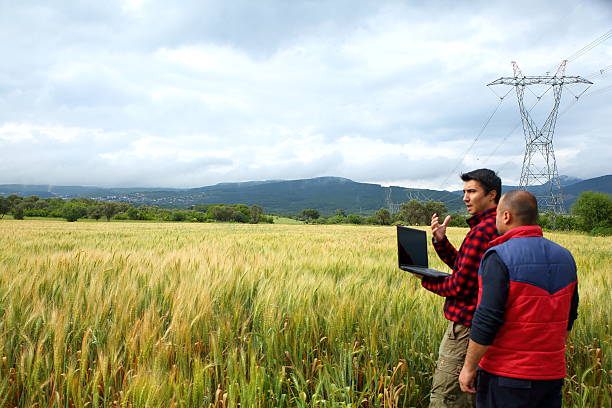 istock Two Farmer with laptop in wheat field 528286804
